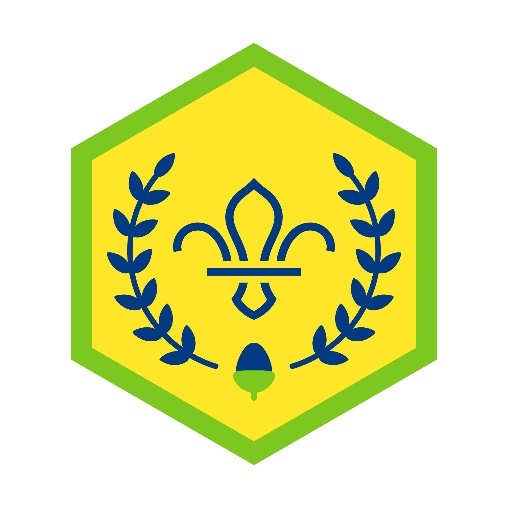 Chief Scouts Acorn Award